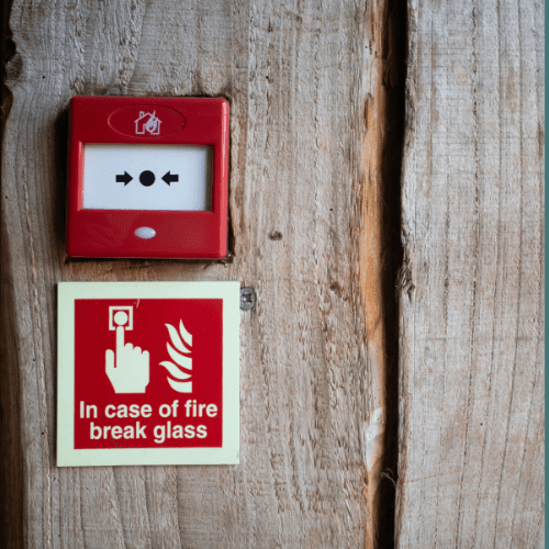 Your paragraph text (Logo) (3)